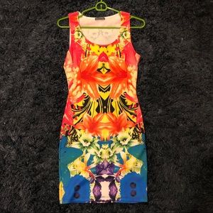 Multicolor Bodycon Dress